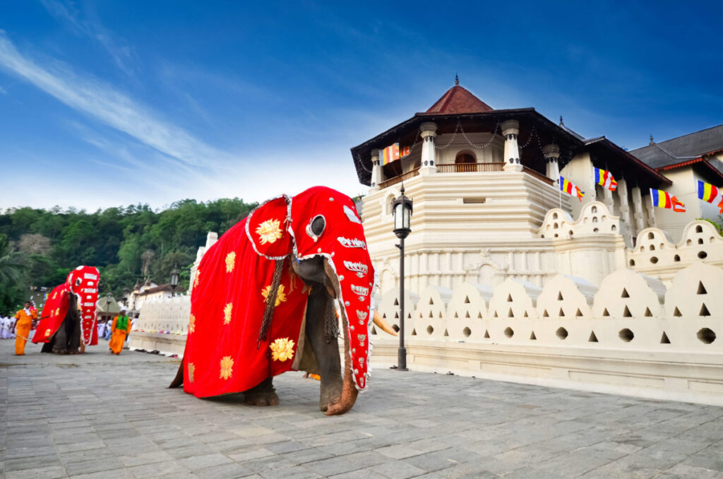 Film in the Mountains of Sri Lanka